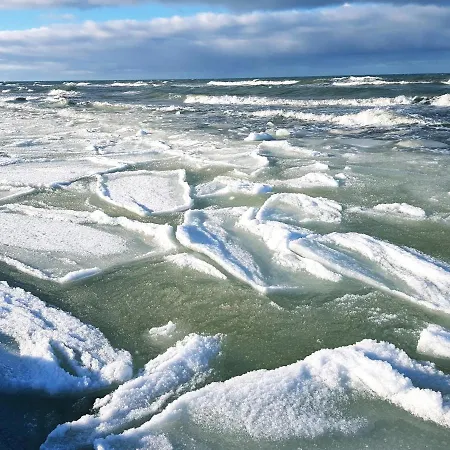 아파트 In The Forest