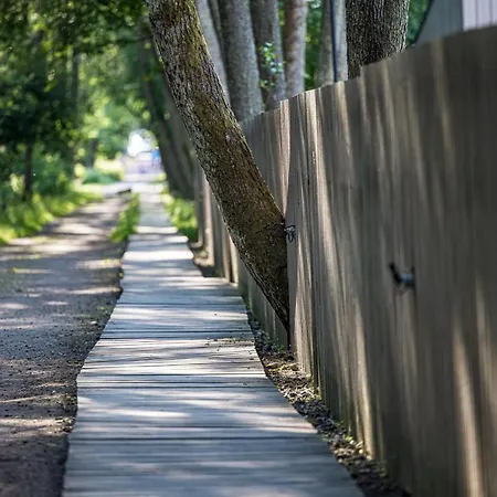 In The Forest * 帕兰加