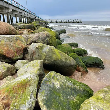 In The Forest 公寓