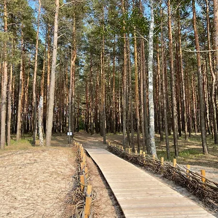 In The Forest 아파트