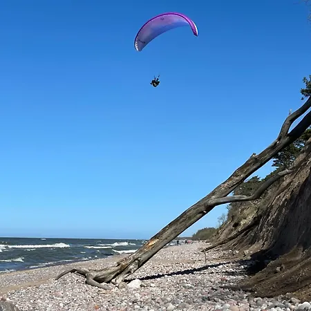 In The Forest 公寓