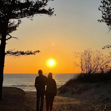 In The Forest 아파트 팔랑가