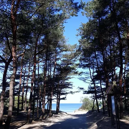 In The Forest 아파트 *