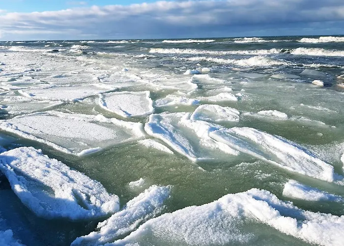 شقة In The Forest