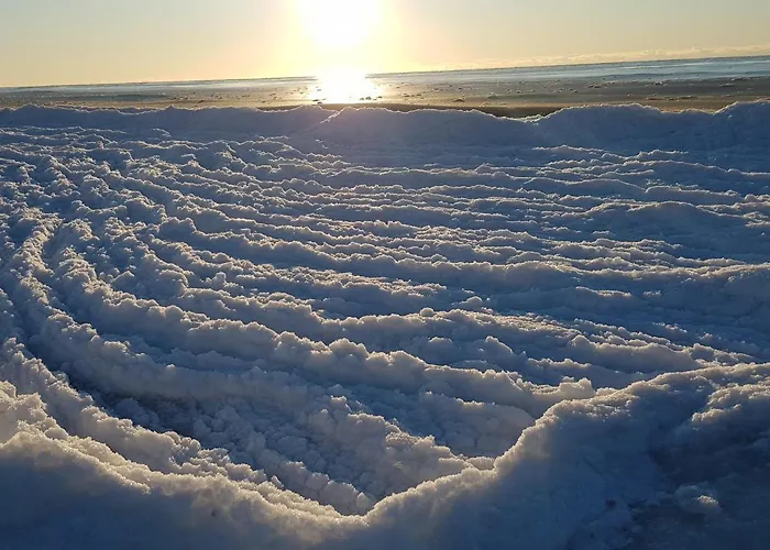 In The Forest * بالانغا