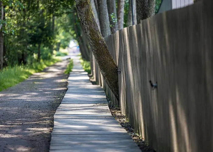 In The Forest * بالانغا