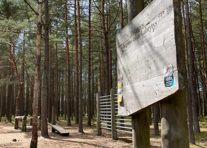 شقة In The Forest *