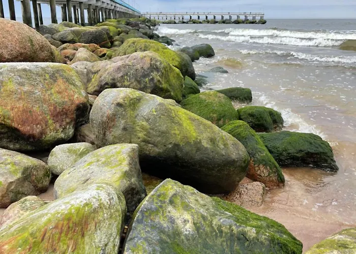 In The Forest 公寓