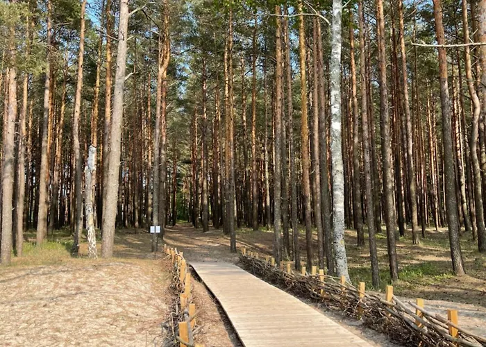 In The Forest شقة