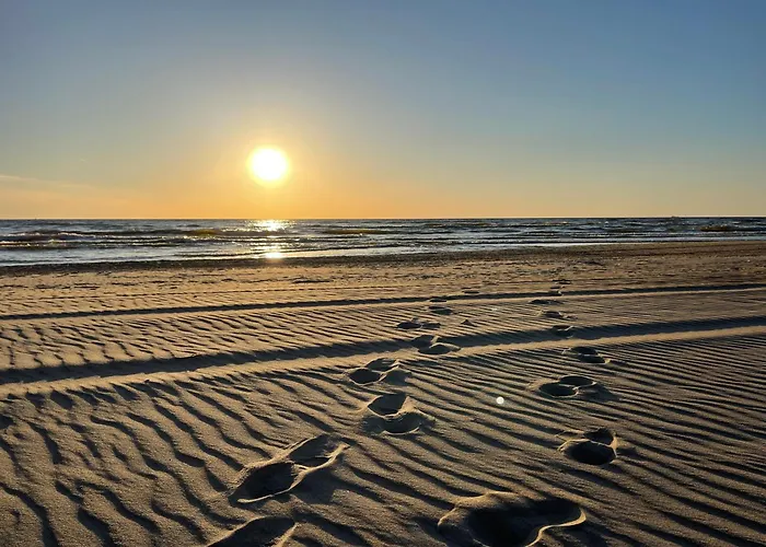 شقة In The Forest بالانغا