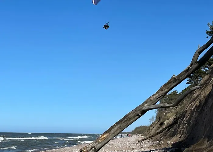 In The Forest شقة