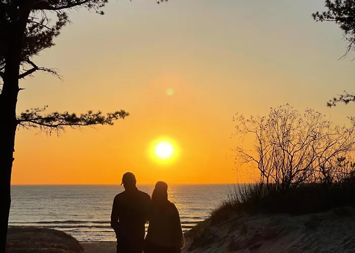 In The Forest 公寓 帕兰加