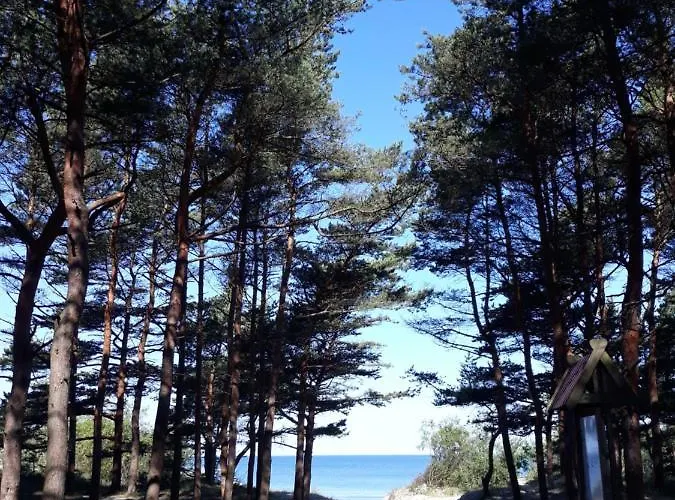 In The Forest 公寓 *